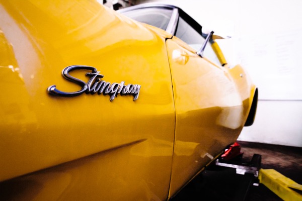 Yellow Stingray